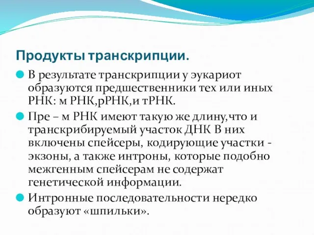 Продукты транскрипции. В результате транскрипции у эукариот образуются предшественники тех или иных