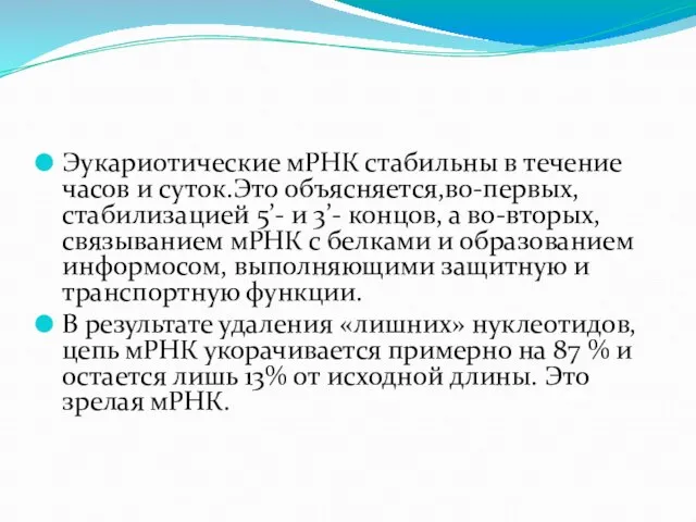 Эукариотические мРНК стабильны в течение часов и суток.Это объясняется,во-первых, стабилизацией 5’- и