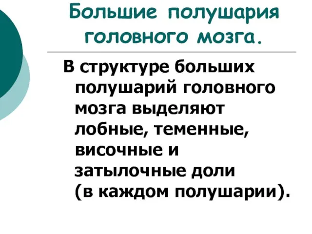 Большие полушария головного мозга. В структуре больших полушарий головного мозга выделяют лобные,