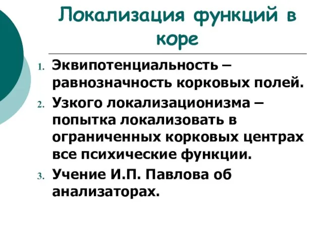 Локализация функций в коре Эквипотенциальность – равнозначность корковых полей. Узкого локализационизма –