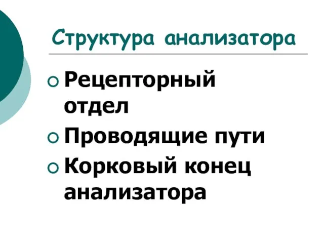 Структура анализатора Рецепторный отдел Проводящие пути Корковый конец анализатора