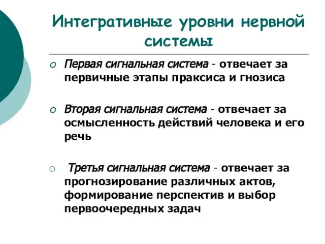 Интегративные уровни нервной системы Первая сигнальная система - отвечает за первичные этапы