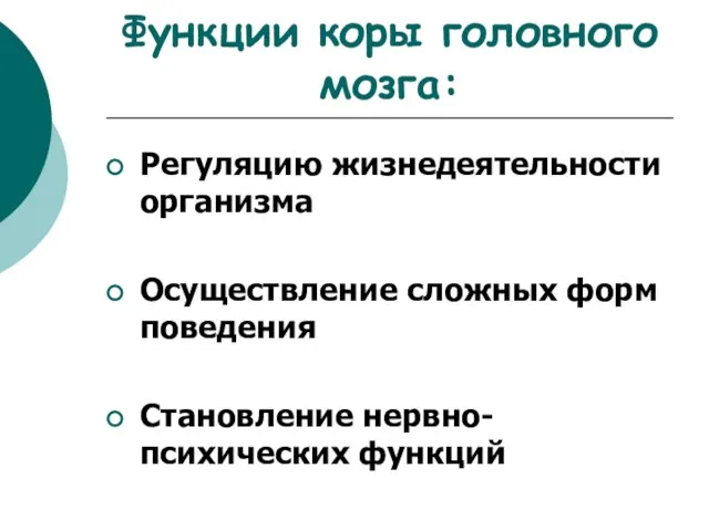 Функции коры головного мозга: Регуляцию жизнедеятельности организма Осуществление сложных форм поведения Становление нервно-психических функций