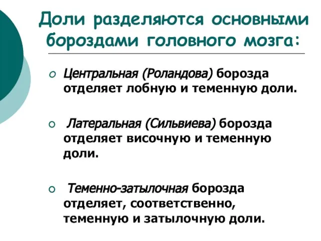 Доли разделяются основными бороздами головного мозга: Центральная (Роландова) борозда отделяет лобную и