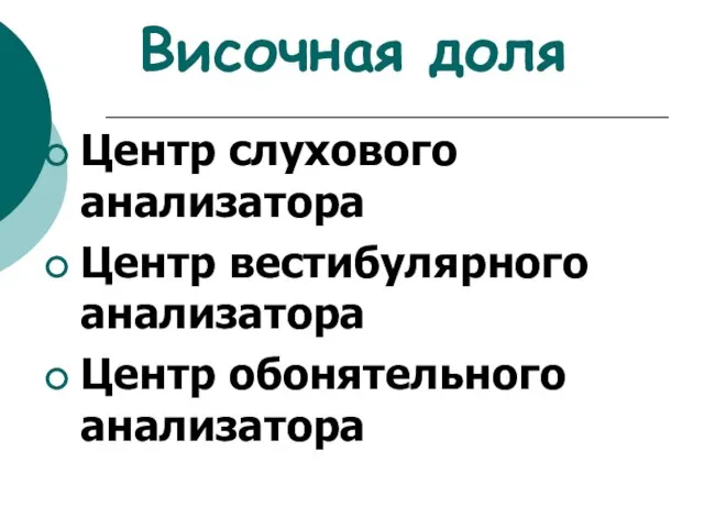 Височная доля Центр слухового анализатора Центр вестибулярного анализатора Центр обонятельного анализатора