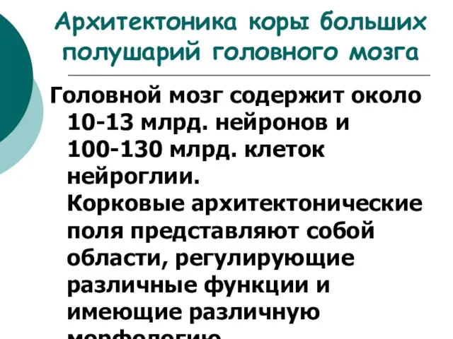 Архитектоника коры больших полушарий головного мозга Головной мозг содержит около 10-13 млрд.