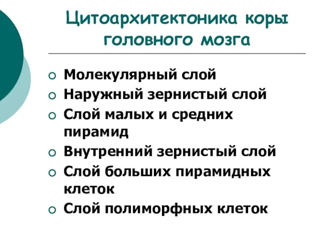 Цитоархитектоника коры головного мозга Молекулярный слой Наружный зернистый слой Слой малых и