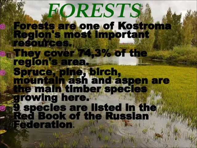 FORESTS Forests are one of Kostroma Region's most important resources. They cover