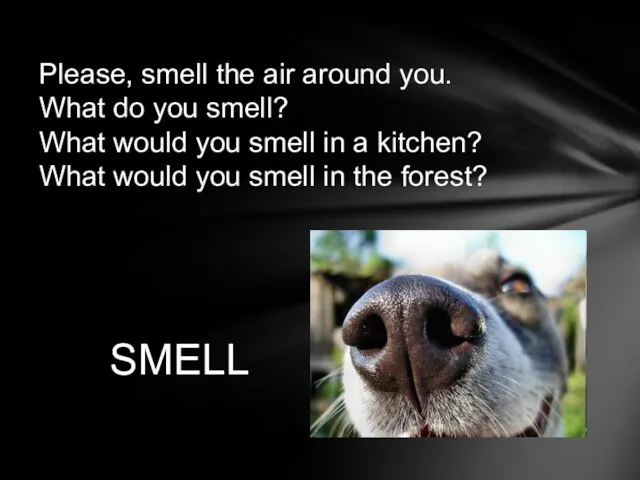 Please, smell the air around you. What do you smell? What would