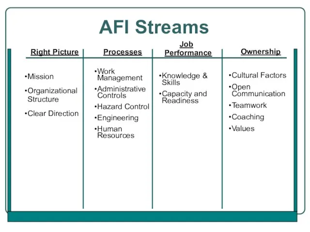 AFI Streams Right Picture Mission Organizational Structure Clear Direction Ownership Cultural Factors