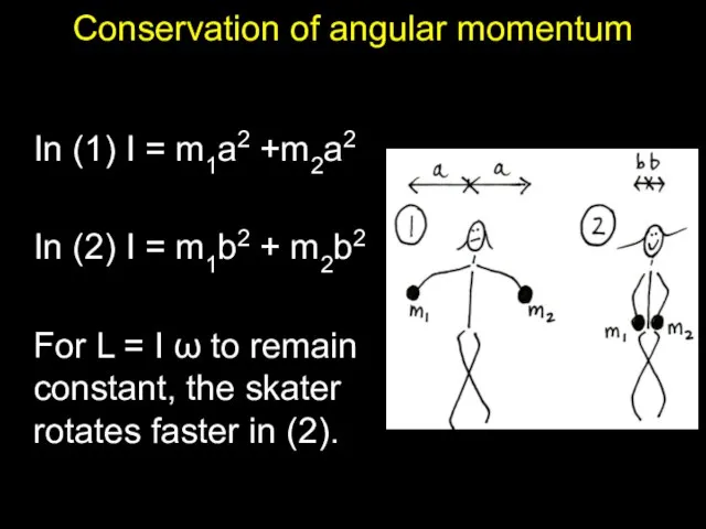 Conservation of angular momentum In (1) I = m1a2 +m2a2 In (2)