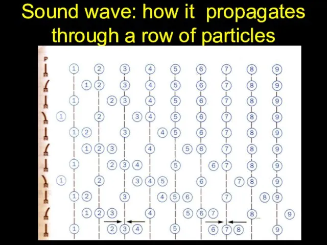 Sound wave: how it propagates through a row of particles