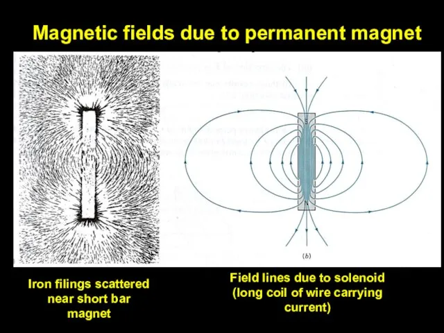 Magnetic fields due to permanent magnet Iron filings scattered near short bar