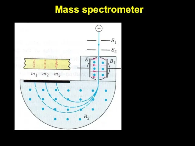 Mass spectrometer