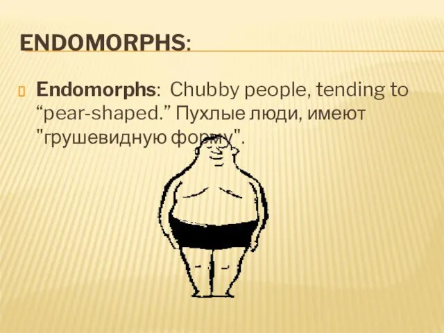 ENDOMORPHS: Endomorphs: Chubby people, tending to “pear-shaped.” Пухлые люди, имеют "грушевидную форму".