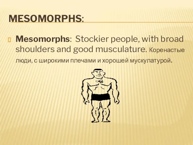 MESOMORPHS: Mesomorphs: Stockier people, with broad shoulders and good musculature. Коренастые люди,