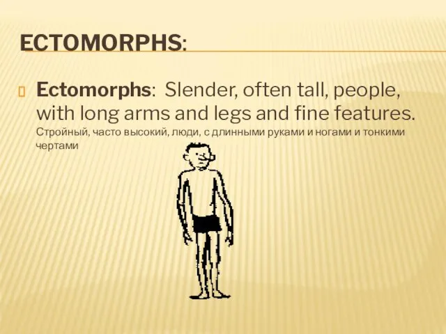 ECTOMORPHS: Ectomorphs: Slender, often tall, people, with long arms and legs and