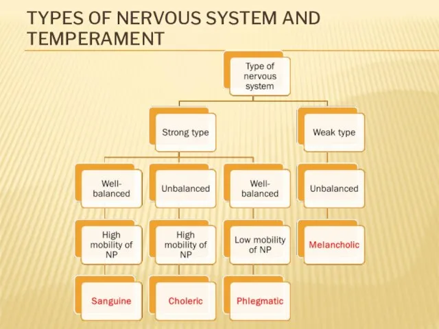 TYPES OF NERVOUS SYSTEM AND TEMPERAMENT