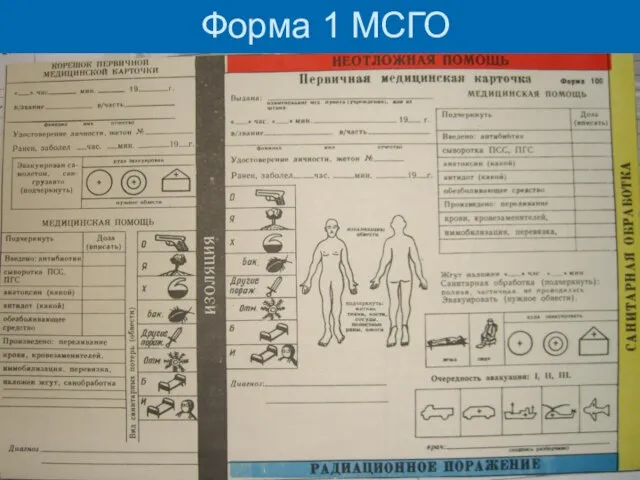 Форма 1 МСГО