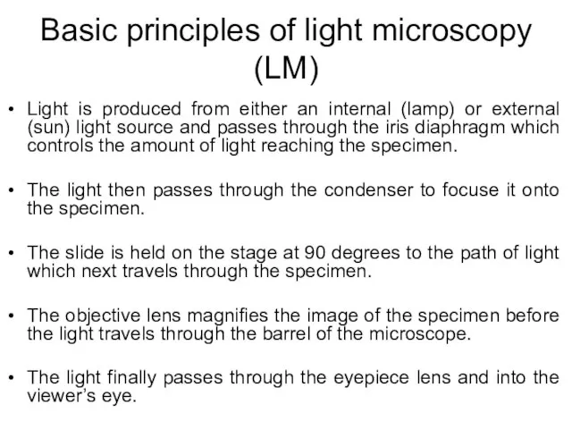 Basic principles of light microscopy (LM) Light is produced from either an