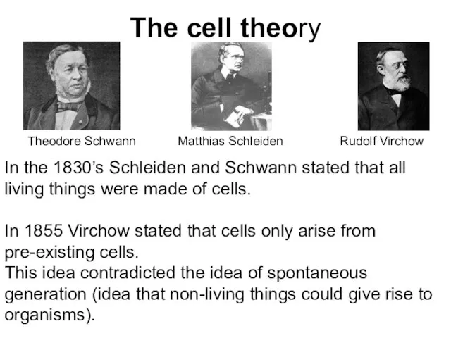 The cell theory In the 1830’s Schleiden and Schwann stated that all