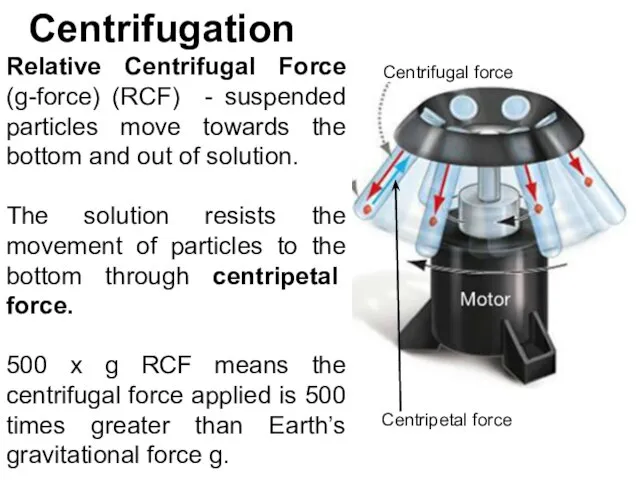 Centrifugation Relative Centrifugal Force (g-force) (RCF) - suspended particles move towards the