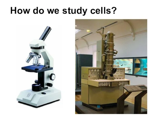 How do we study cells?