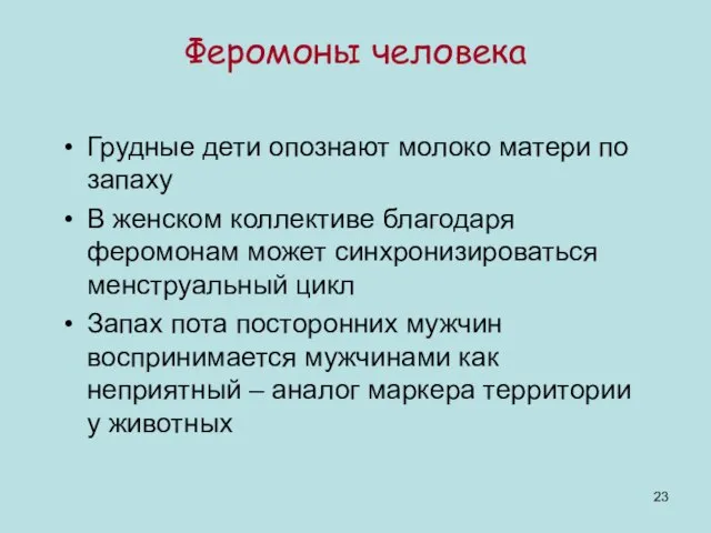 Феромоны человека Грудные дети опознают молоко матери по запаху В женском коллективе