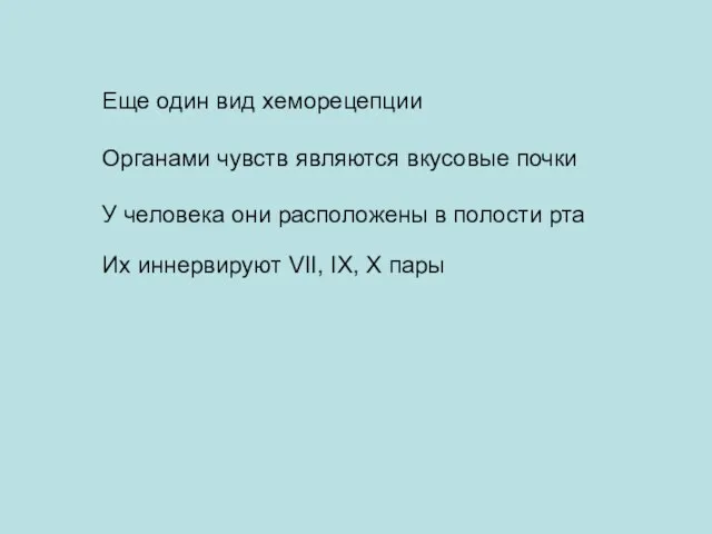 Еще один вид хеморецепции Органами чувств являются вкусовые почки У человека они