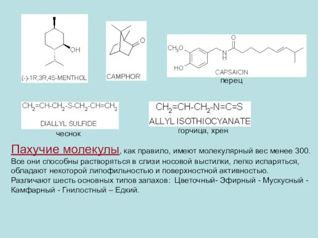 Пахучие молекулы, как правило, имеют молекулярный вес менее 300. Все они способны