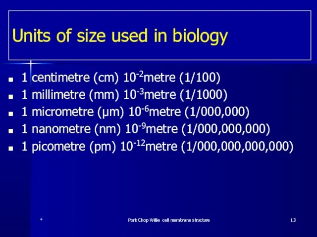 Units of size used in biology 1 centimetre (cm) 10-2metre (1/100) 1