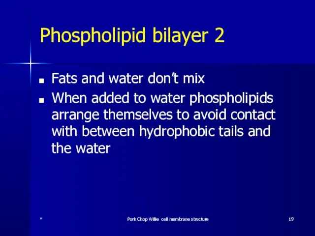 Phospholipid bilayer 2 Fats and water don’t mix When added to water