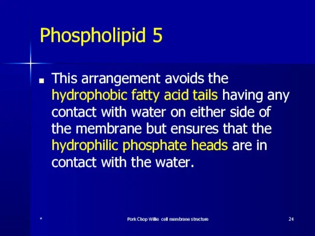 Phospholipid 5 This arrangement avoids the hydrophobic fatty acid tails having any