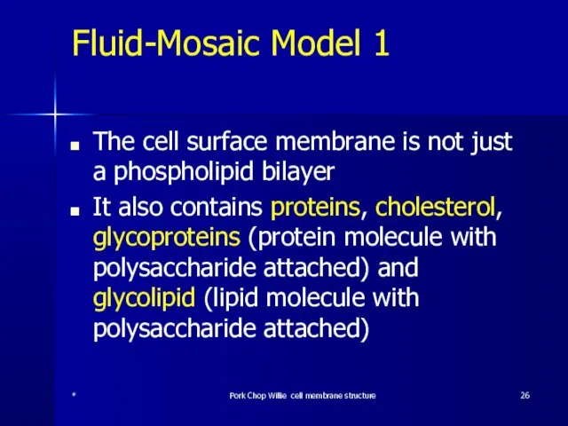 Fluid-Mosaic Model 1 The cell surface membrane is not just a phospholipid