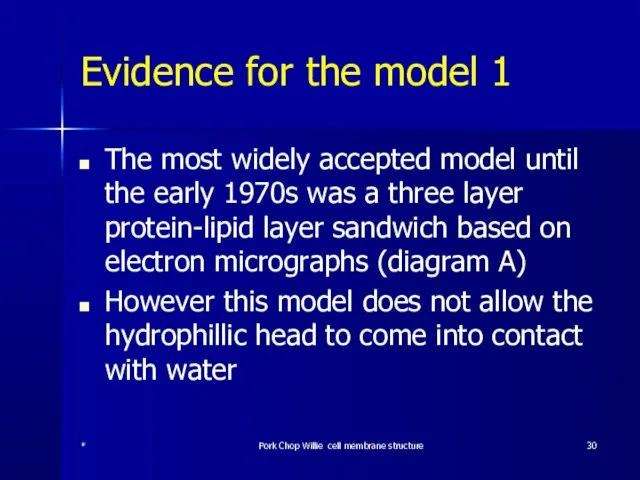 Evidence for the model 1 The most widely accepted model until the