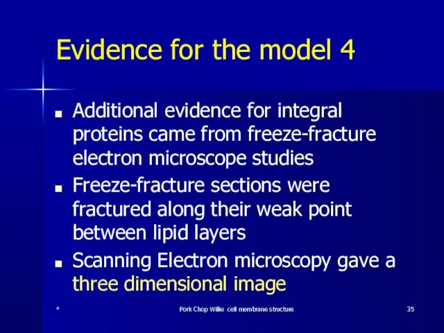 Evidence for the model 4 Additional evidence for integral proteins came from