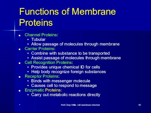 Functions of Membrane Proteins Channel Proteins: Tubular Allow passage of molecules through