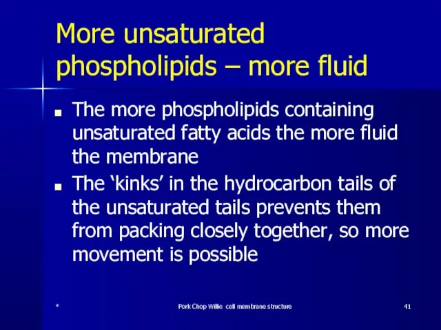 More unsaturated phospholipids – more fluid The more phospholipids containing unsaturated fatty