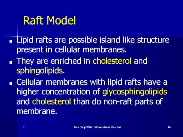 Raft Model Lipid rafts are possible island like structure present in cellular