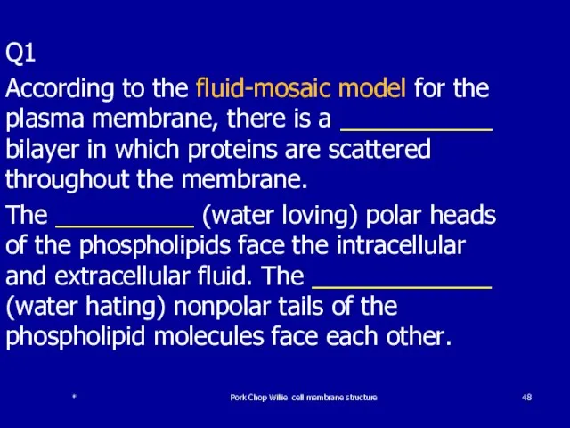 * Pork Chop Willie cell membrane structure Q1 According to the fluid-mosaic