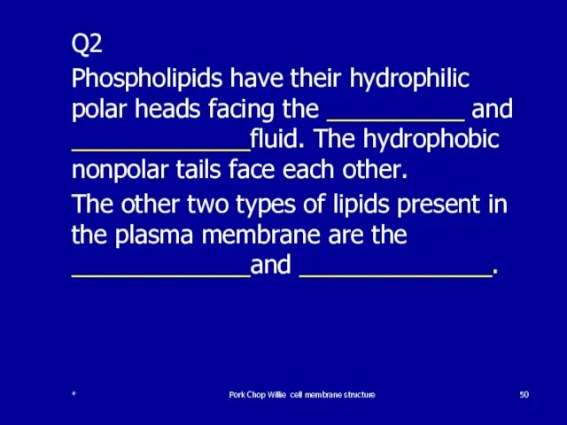 Q2 Phospholipids have their hydrophilic polar heads facing the __________ and _____________fluid.