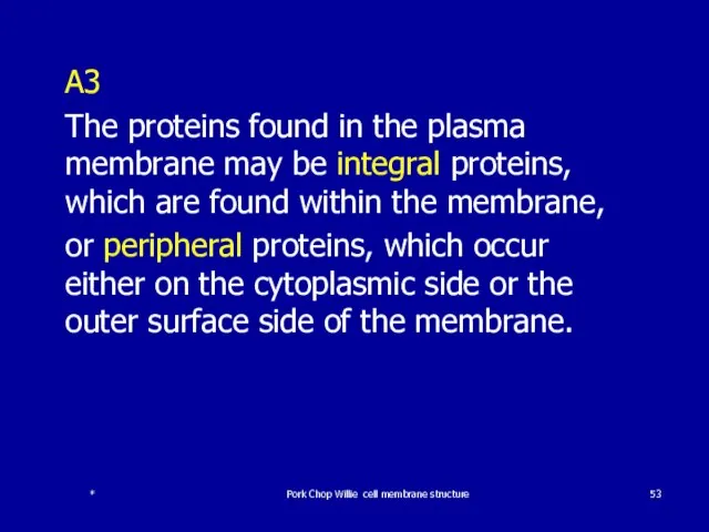 A3 The proteins found in the plasma membrane may be integral proteins,