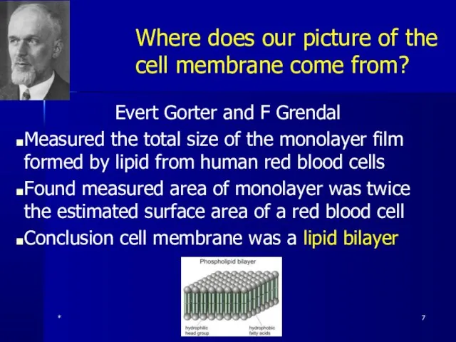 Where does our picture of the cell membrane come from? Evert Gorter