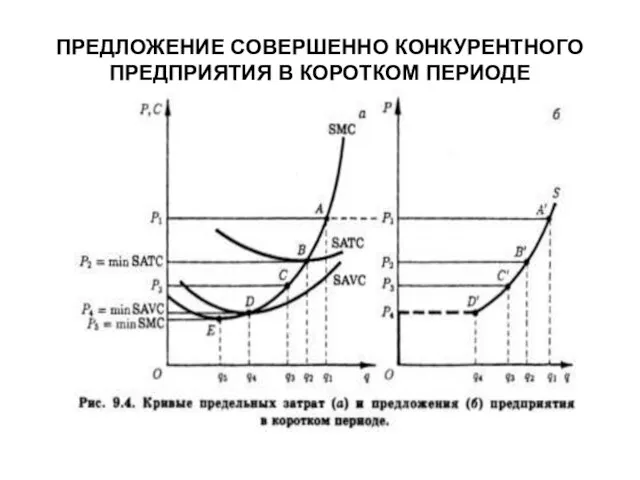 ПРЕДЛОЖЕНИЕ СОВЕРШЕННО КОНКУРЕНТНОГО ПРЕДПРИЯТИЯ В КОРОТКОМ ПЕРИОДЕ