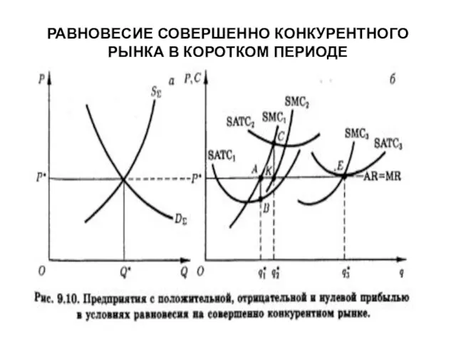 РАВНОВЕСИЕ СОВЕРШЕННО КОНКУРЕНТНОГО РЫНКА В КОРОТКОМ ПЕРИОДЕ