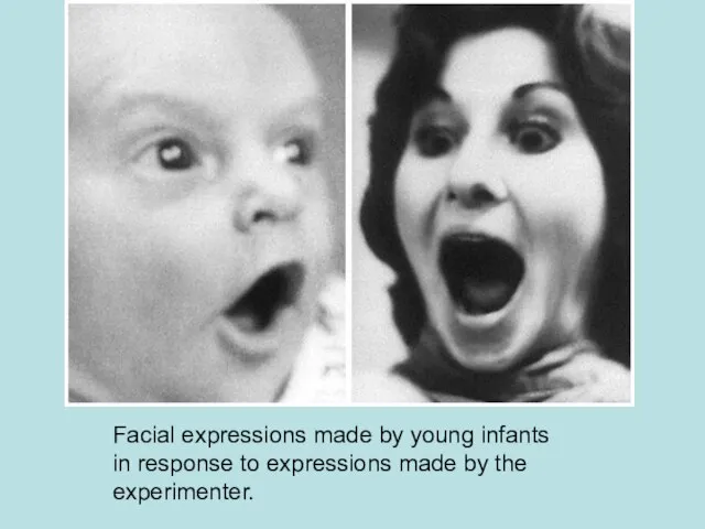 Facial expressions made by young infants in response to expressions made by the experimenter.