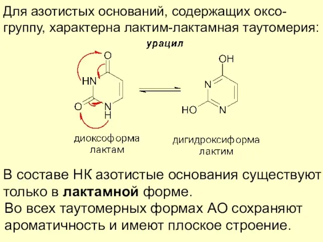 Для азотистых оснований, содержащих оксо- группу, характерна лактим-лактамная таутомерия: В составе НК