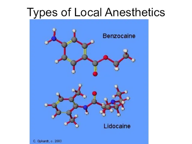 Types of Local Anesthetics