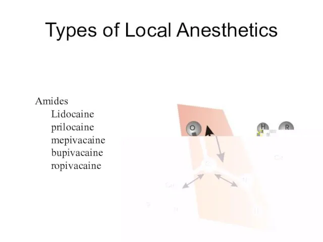 Types of Local Anesthetics Amides Lidocaine prilocaine mepivacaine bupivacaine ropivacaine