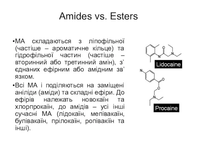 Amides vs. Esters МА складаються з ліпофільної (частіше – ароматичне кільце) та